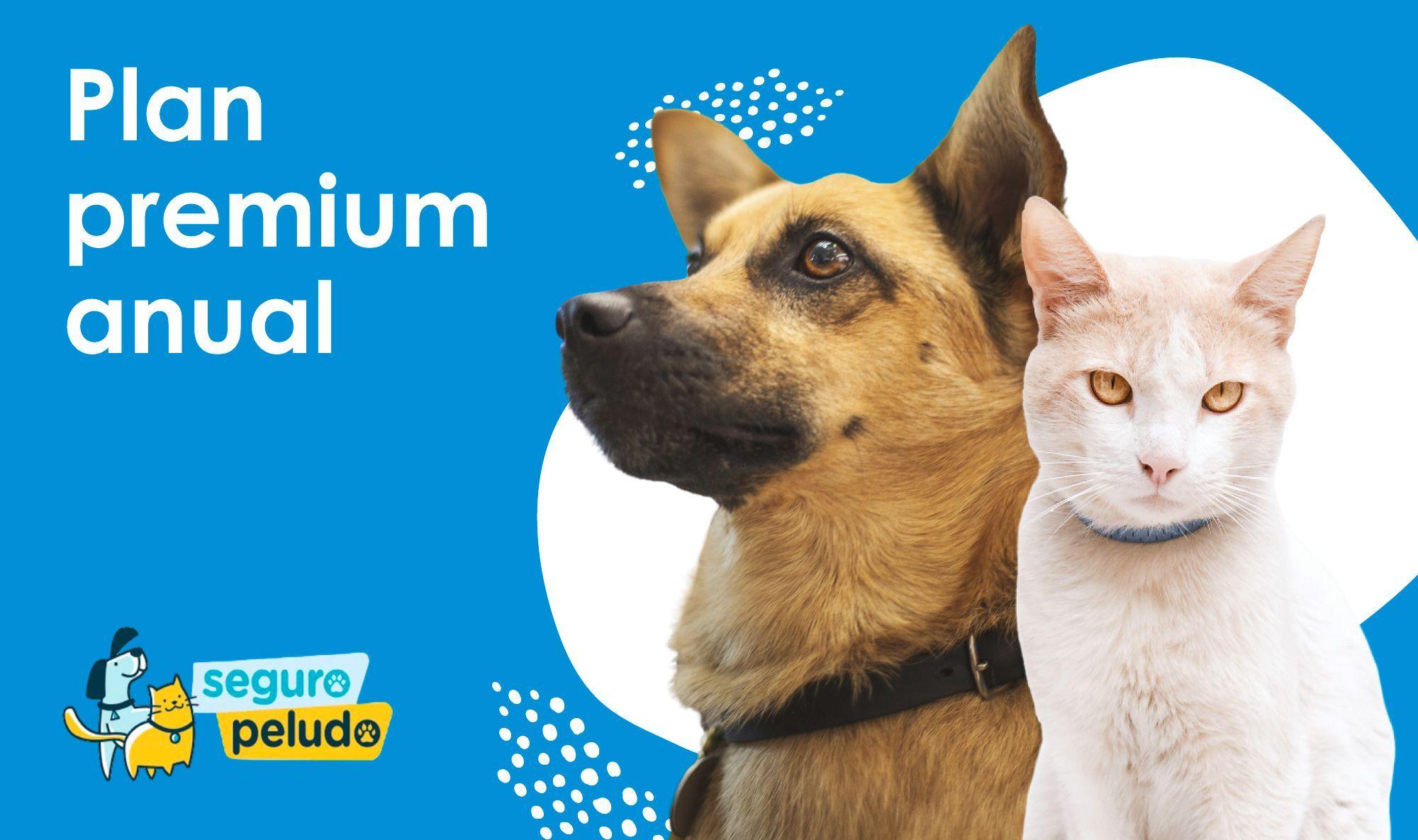 Mascota Plan Premium