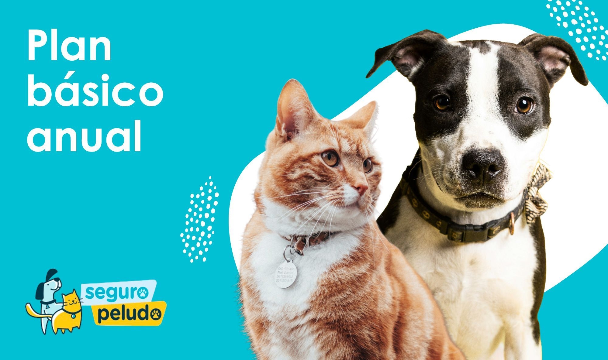 Mascota Segura Básico