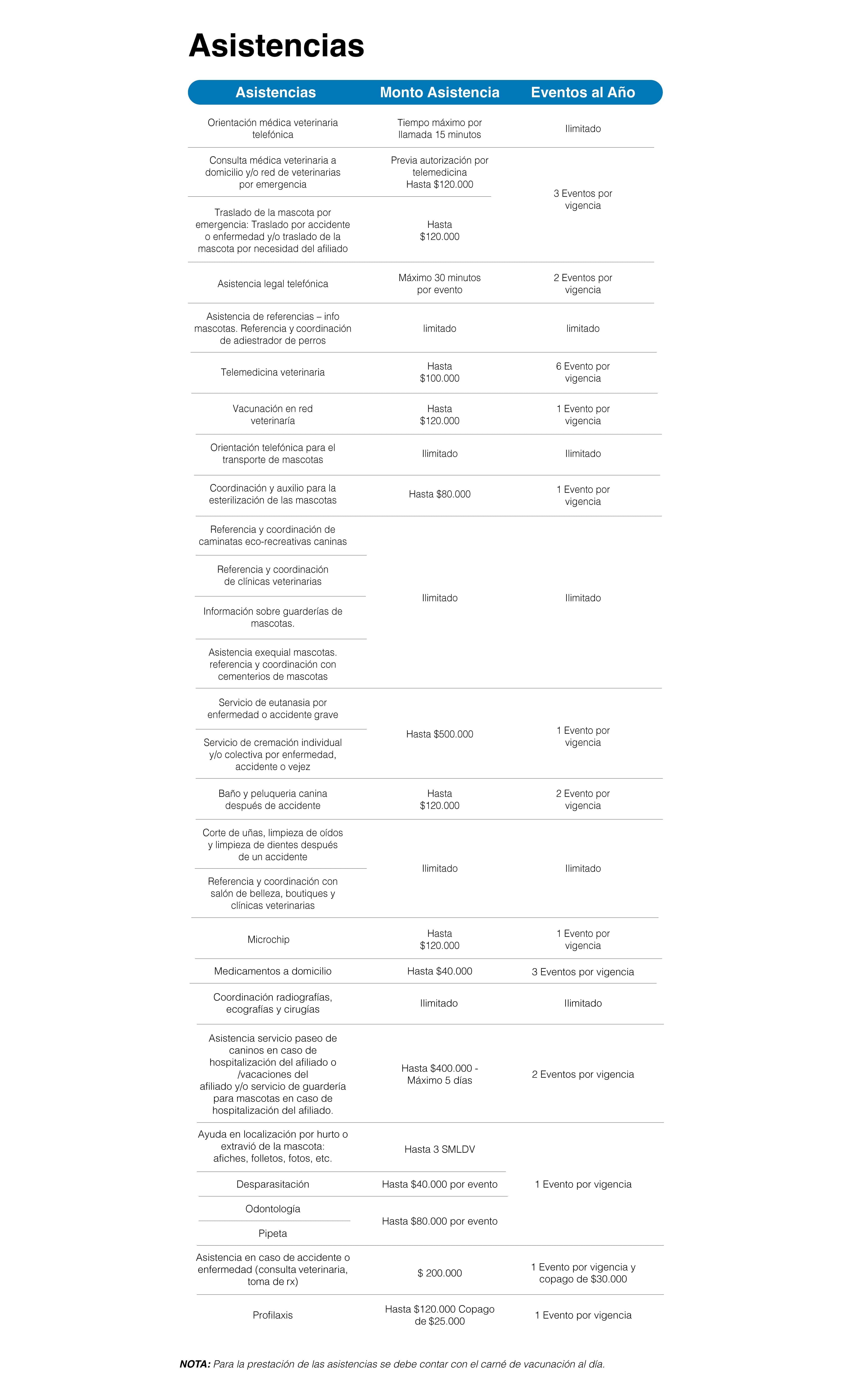 Mascota Segura Premium - imagen 3