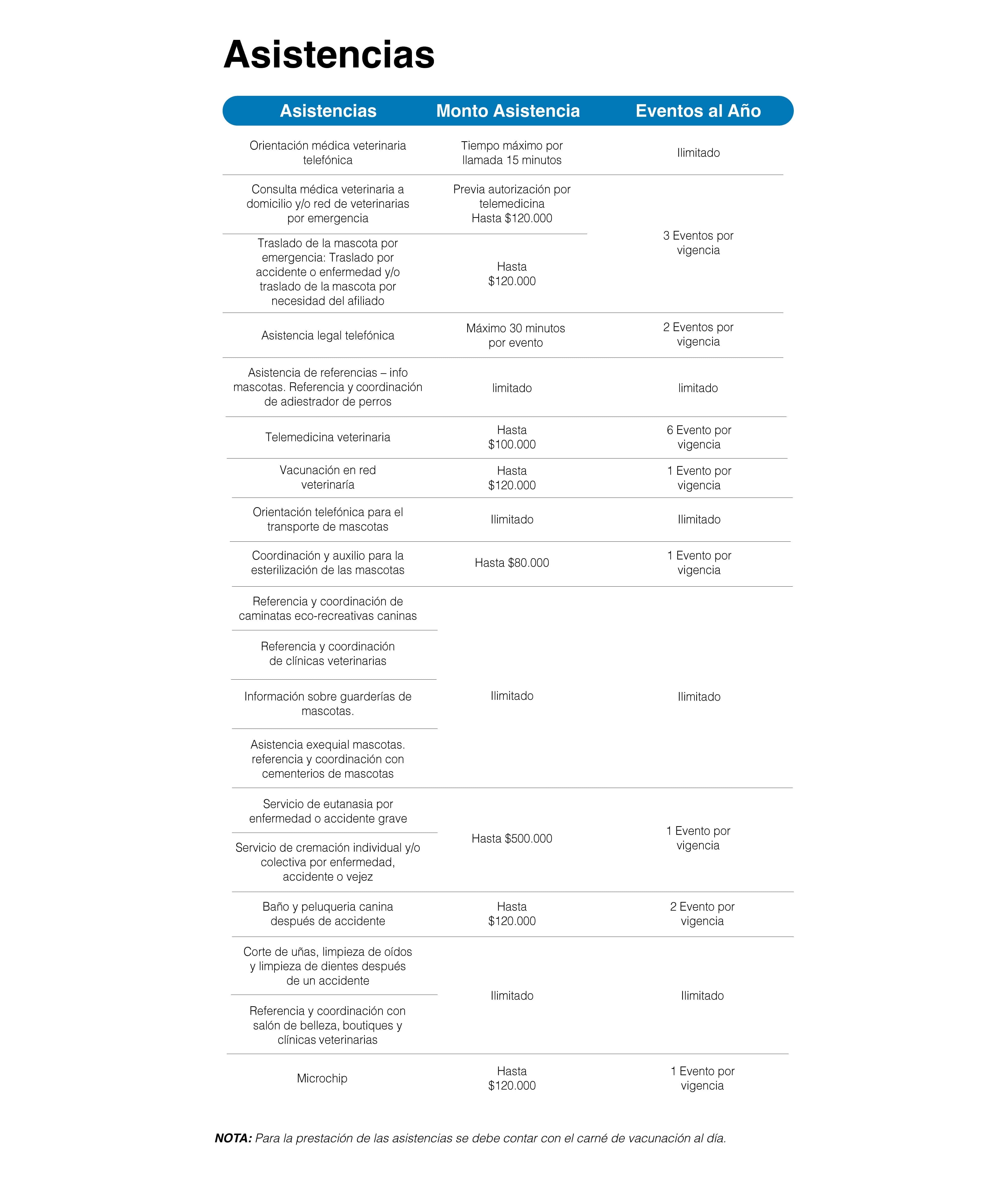 Mascota Segura Básico - imagen 3